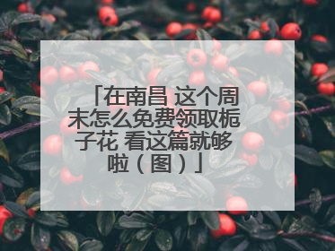 在南昌 这个周末怎么免费领取栀子花 看这篇就够啦（图）