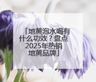 地黄泡水喝有什么功效？盘点2025年热销地黄品牌