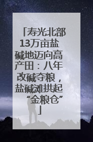 寿光北部13万亩盐碱地迈向高产田：八年改碱夺粮，盐碱滩拱起“金粮仓”