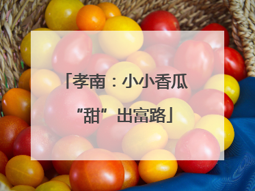 孝南：小小香瓜 “甜”出富路