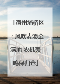 宿州埇桥区：风吹麦浪金满地 农机轰鸣保归仓