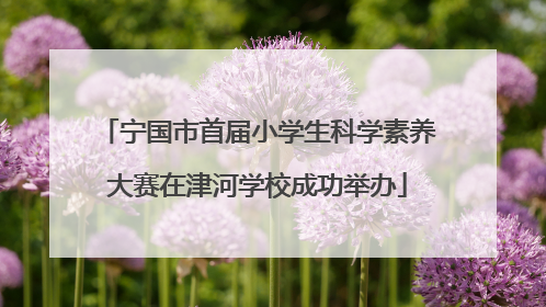 宁国市首届小学生科学素养大赛在津河学校成功举办
