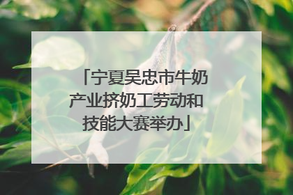 宁夏吴忠市牛奶产业挤奶工劳动和技能大赛举办