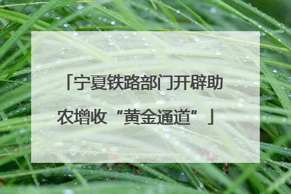 宁夏铁路部门开辟助农增收“黄金通道”