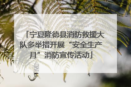 宁夏隆德县消防救援大队多举措开展“安全生产月”消防宣传活动