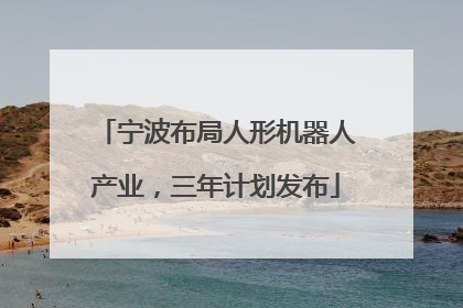 宁波布局人形机器人产业，三年计划发布