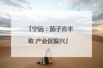 宁远：茄子喜丰收 产业促振兴