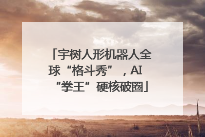 宇树人形机器人全球“格斗秀”，AI“拳王”硬核破圈