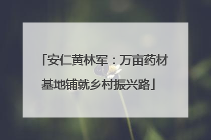 安仁黄林军：万亩药材基地铺就乡村振兴路