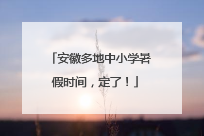 安徽多地中小学暑假时间，定了！