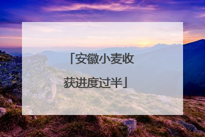 安徽小麦收获进度过半