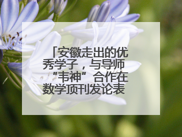 安徽走出的优秀学子，与导师“韦神”合作在数学顶刊发论表重要科研成果