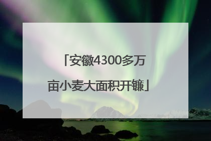 安徽4300多万亩小麦大面积开镰