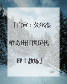 官宣：久尔杰维奇出任国足代理主教练