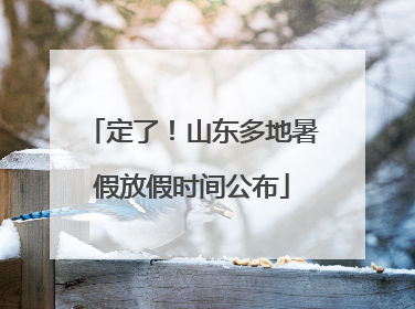 定了！山东多地暑假放假时间公布