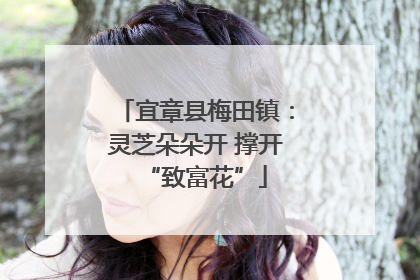 宜章县梅田镇：灵芝朵朵开 撑开“致富花”