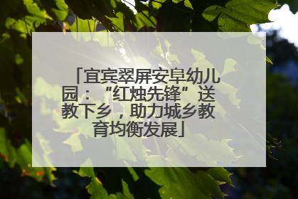 宜宾翠屏安阜幼儿园：“红烛先锋”送教下乡，助力城乡教育均衡发展