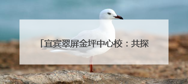 宜宾翠屏金坪中心校：共探教育特色，携手共促发展