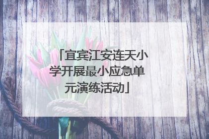 宜宾江安连天小学开展最小应急单元演练活动