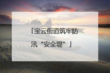 宝云街道筑牢防汛“安全堤”