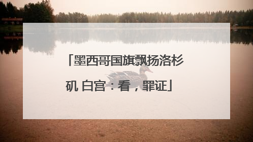 墨西哥国旗飘扬洛杉矶 白宫：看，罪证