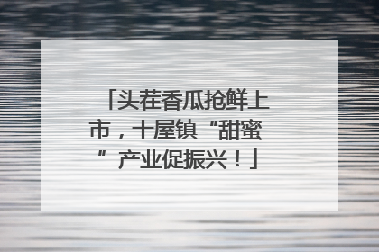 头茬香瓜抢鲜上市，十屋镇“甜蜜”产业促振兴！