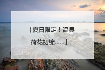 夏日限定！温县荷花初绽……