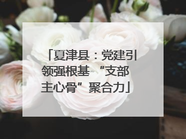 夏津县：党建引领强根基 “支部主心骨”聚合力