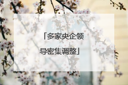 多家央企领导密集调整
