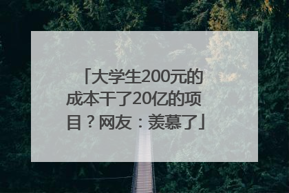 大学生200元的成本干了20亿的项目？网友：羡慕了
