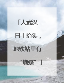 大武汉一日丨抬头，地铁站里有“蝴蝶”