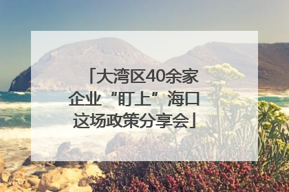 大湾区40余家企业“盯上”海口这场政策分享会