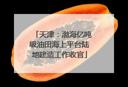 天津：渤海亿吨级油田海上平台陆地建造工作收官