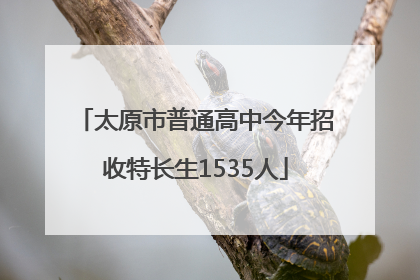 太原市普通高中今年招收特长生1535人