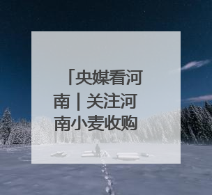 央媒看河南｜关注河南小麦收购、高考保障等内容