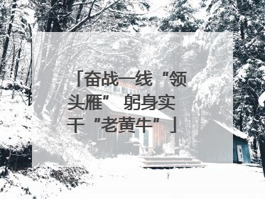 奋战一线“领头雁” 躬身实干“老黄牛”