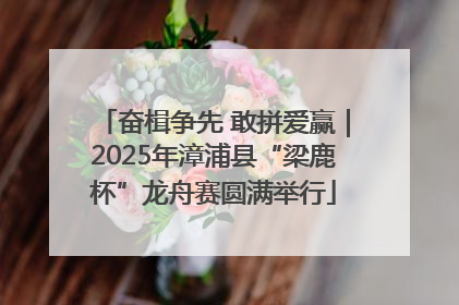 奋楫争先 敢拼爱赢｜2025年漳浦县“梁鹿杯”龙舟赛圆满举行