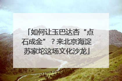 如何让玉巴达杏“点石成金”？来北京海淀苏家坨这场文化沙龙