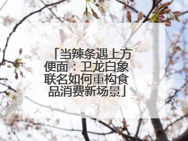 当辣条遇上方便面：卫龙白象联名如何重构食品消费新场景