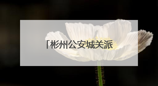 彬州公安城关派出所：三小时速寻遗失手机 锦旗背后的为民速度