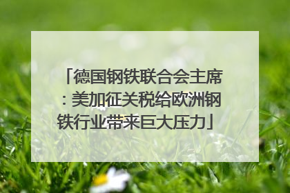 德国钢铁联合会主席：美加征关税给欧洲钢铁行业带来巨大压力