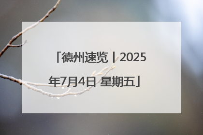 德州速览丨2025年7月4日 星期五
