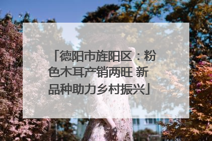 德阳市旌阳区：粉色木耳产销两旺 新品种助力乡村振兴