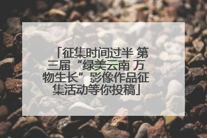 征集时间过半 第三届“绿美云南 万物生长”影像作品征集活动等你投稿
