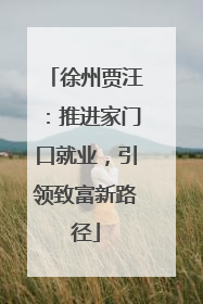 徐州贾汪：推进家门口就业，引领致富新路径