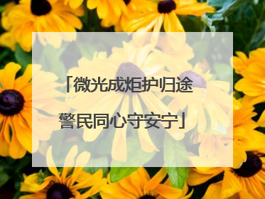 微光成炬护归途 警民同心守安宁