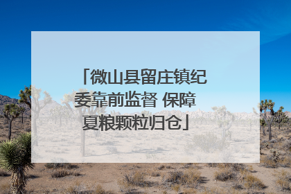 微山县留庄镇纪委靠前监督 保障夏粮颗粒归仓