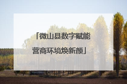 微山县数字赋能营商环境焕新颜
