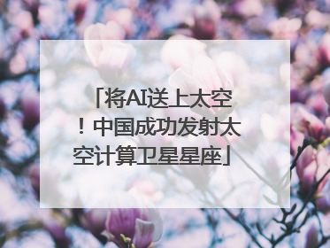 将AI送上太空！中国成功发射太空计算卫星星座