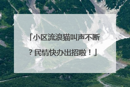 小区流浪猫叫声不断？民情快办出招啦！